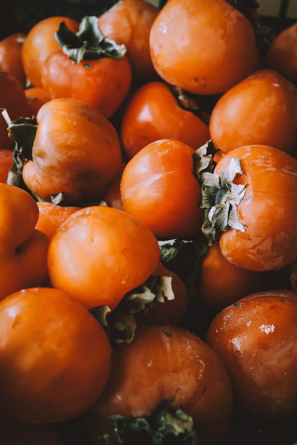 Este ano já apanhámos os dióspiros